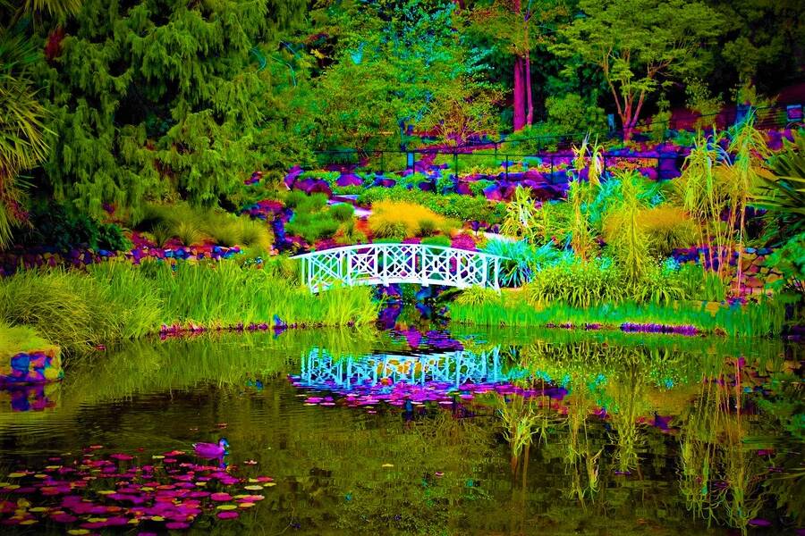 photographer 2wenty9 Media uncategorized  photo