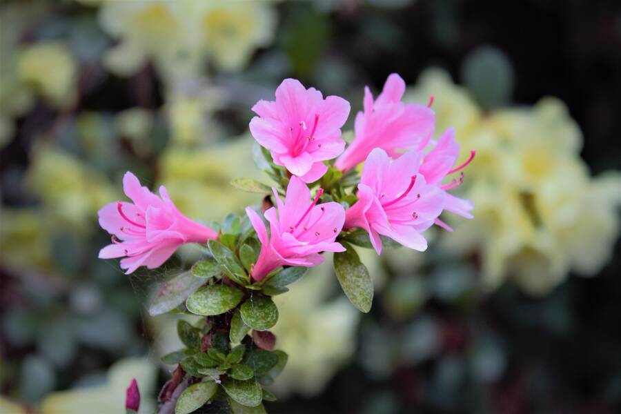 photographer 2wenty9 Media uncategorized  photo