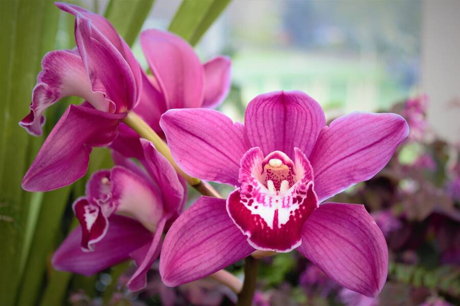 photographer 2wenty9 Media uncategorized  photo