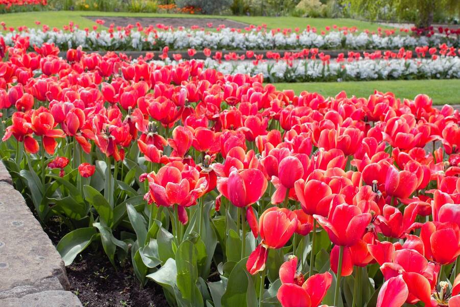 photographer 2wenty9 Media uncategorized  photo