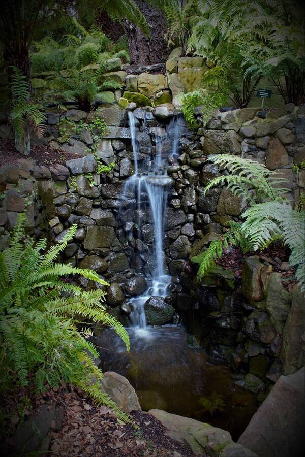 photographer 2wenty9 Media uncategorized  photo