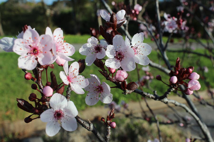 photographer 2wenty9 Media uncategorized  photo