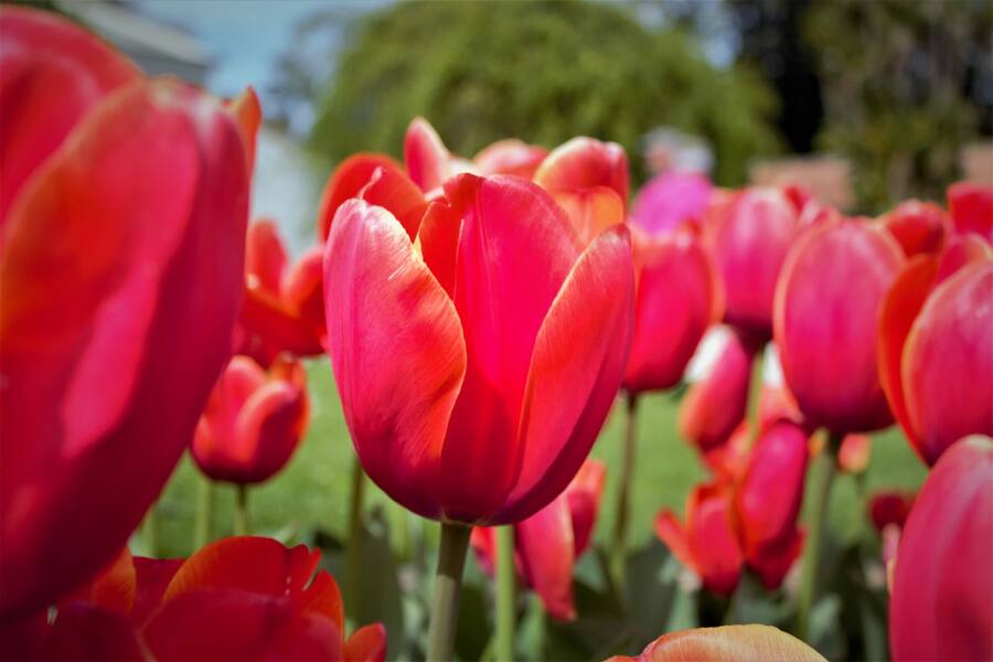 photographer 2wenty9 Media uncategorized  photo