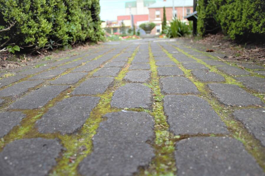 photographer 2wenty9 Media uncategorized  photo