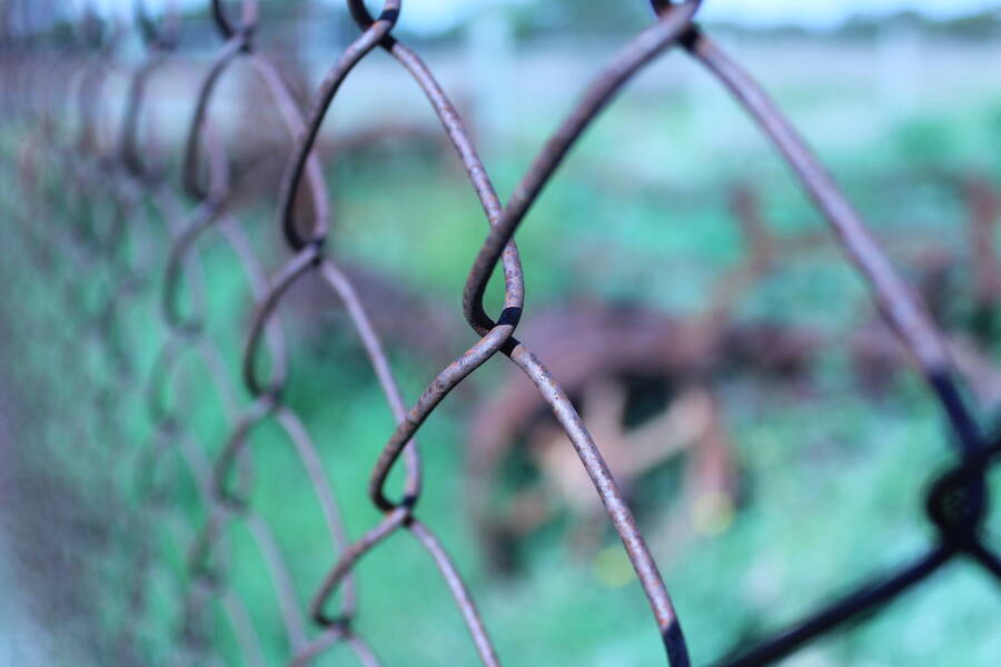 photographer 2wenty9 Media uncategorized  photo