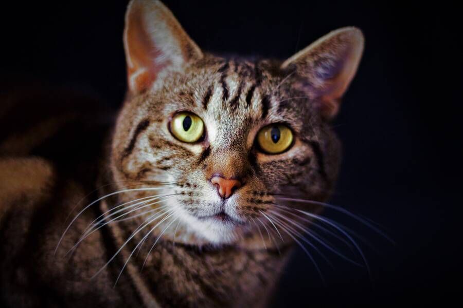 photographer 2wenty9 Media uncategorized  photo