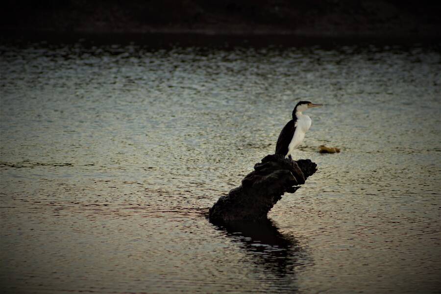 photographer 2wenty9 Media uncategorized  photo