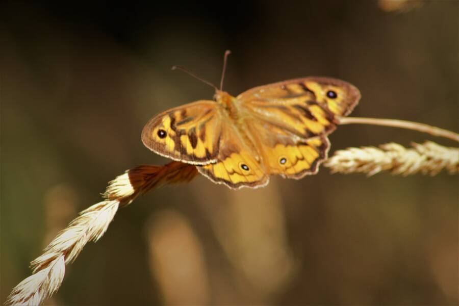 photographer 2wenty9 Media uncategorized  photo