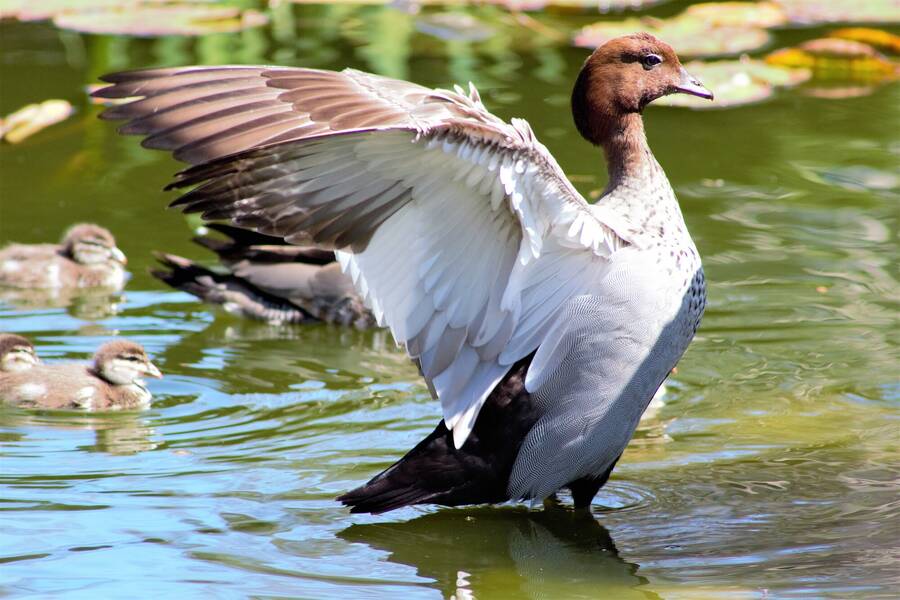 photographer 2wenty9 Media uncategorized  photo