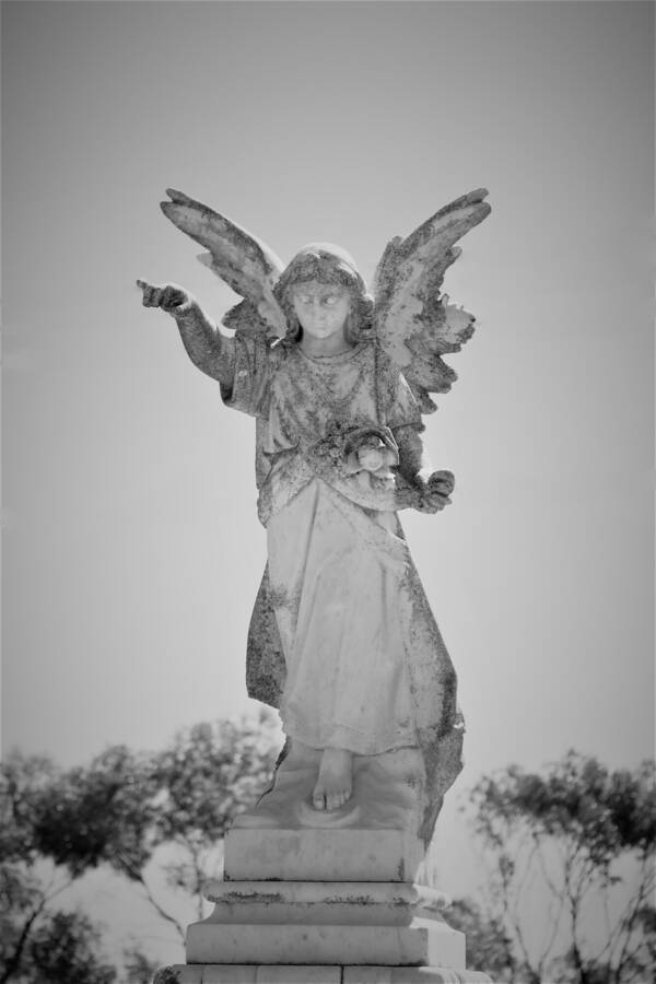 photographer 2wenty9 Media uncategorized  photo