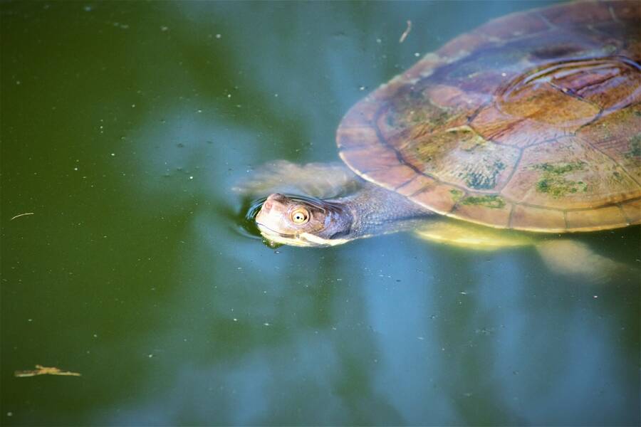 photographer 2wenty9 Media uncategorized  photo