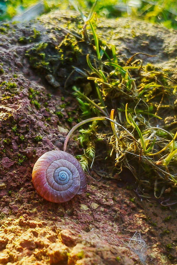 photographer TonyHill landscape  photo taken at Yorkshire Wolds