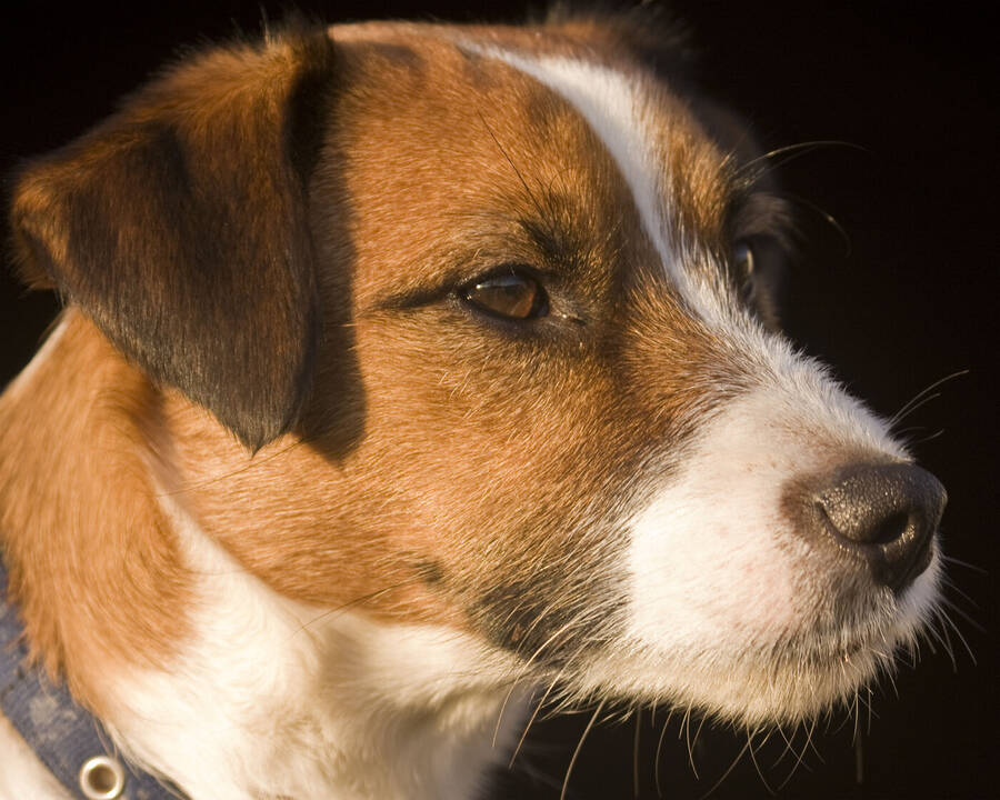 photographer IvyPics abstract  photo