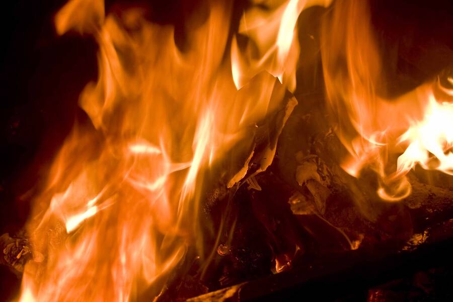 photographer IvyPics abstract  photo