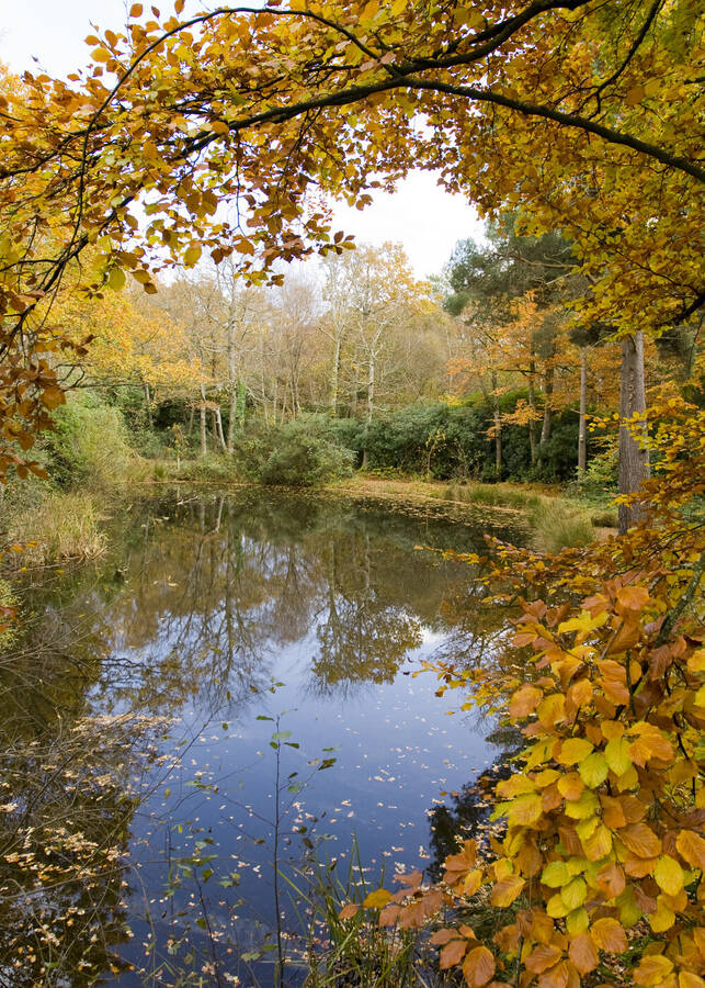 photographer IvyPics landscape  photo