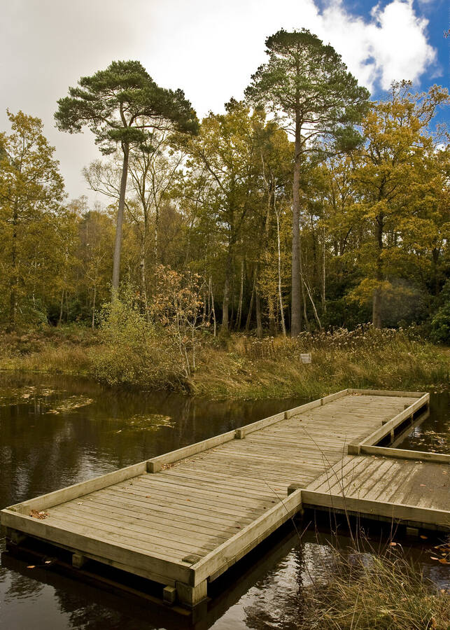 photographer IvyPics landscape  photo