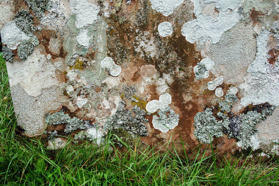 photographer Autofocus landscape  photo taken at Ulpha, Cumbria