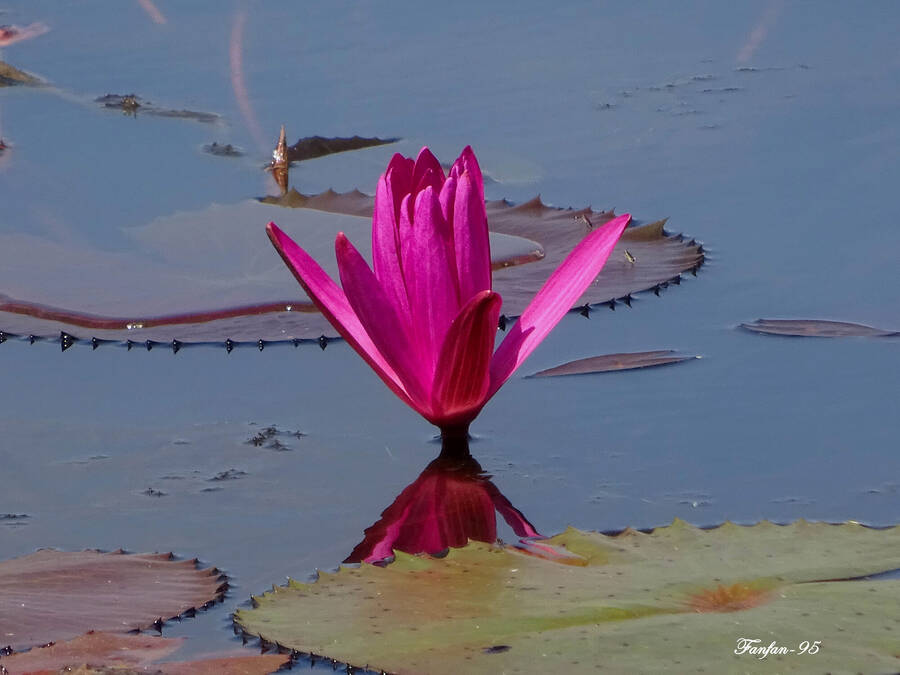 photographer Fanfan95 landscape  photo