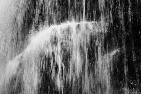 photographer Bitten by the Bug travel  photo taken at Nice, France