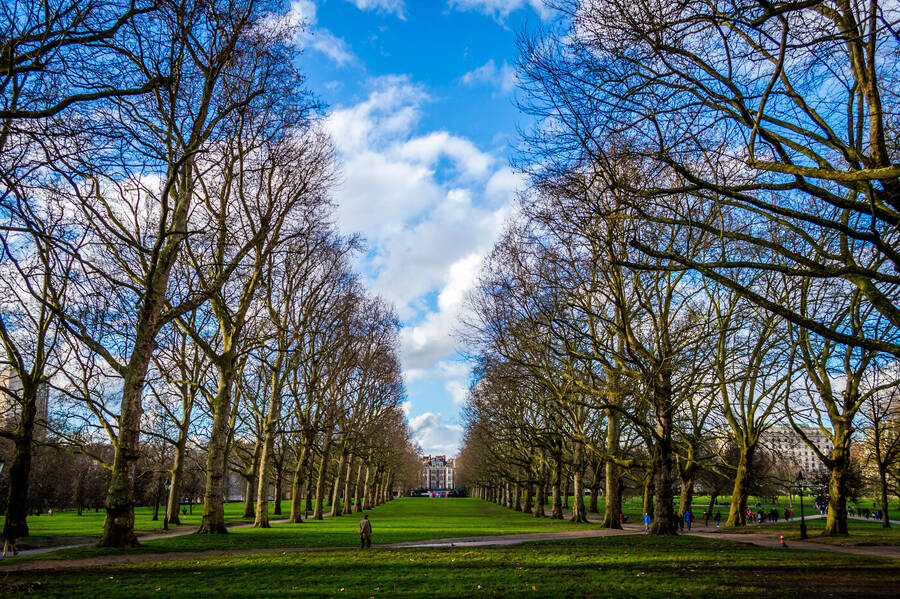 photographer LydonLuck uncategorized  photo taken at Green Park