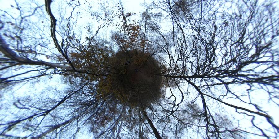 photographer Draculus landscape  photo