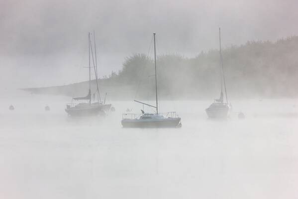 photographer The Opportunist uncategorized  photo