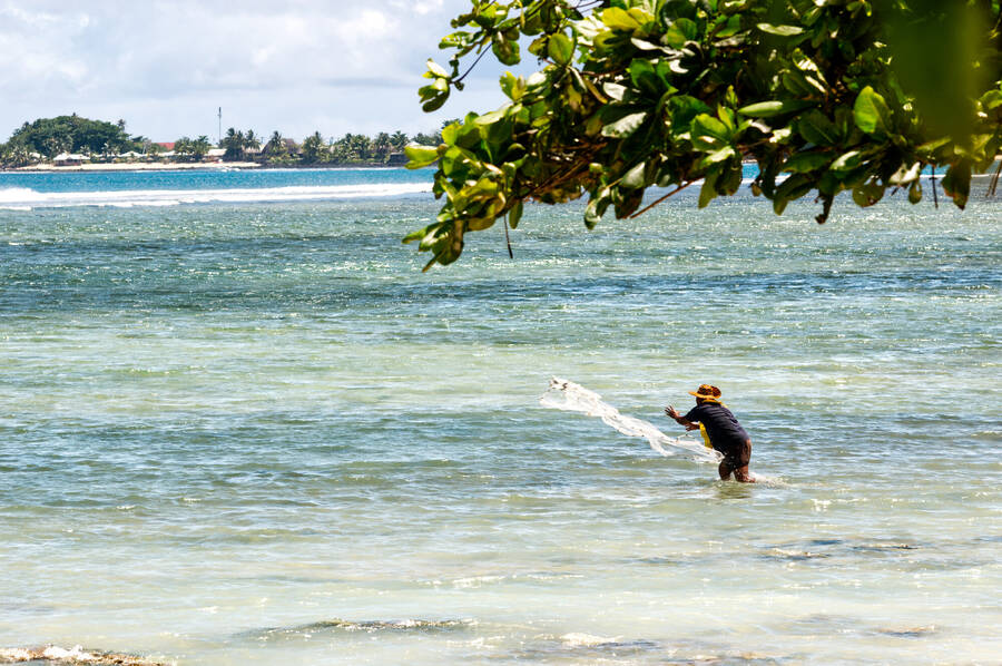 photographer Ursus landscape  photo