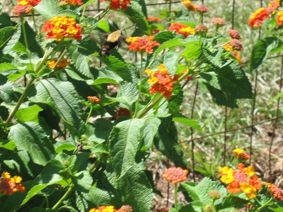 photographer dreamweaver uncategorized  photo