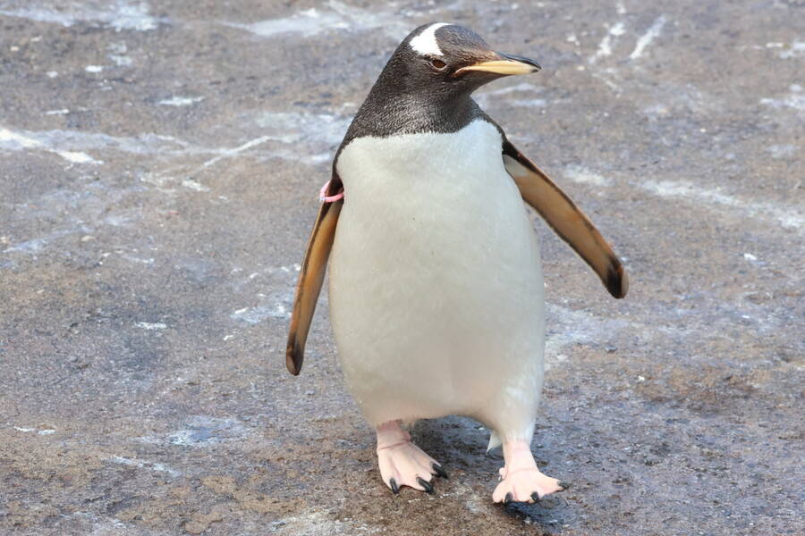 photographer Fotopicto uncategorized  photo