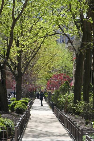 photographer Bitten by the Bug travel  photo