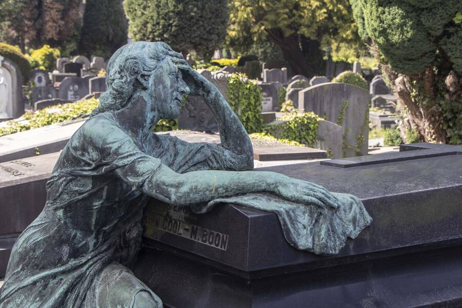 photographer Herophoto uncategorized  photo