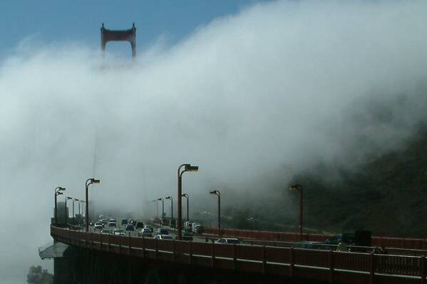 photographer Bitten by the Bug travel  photo taken at San Francisco, California, USA