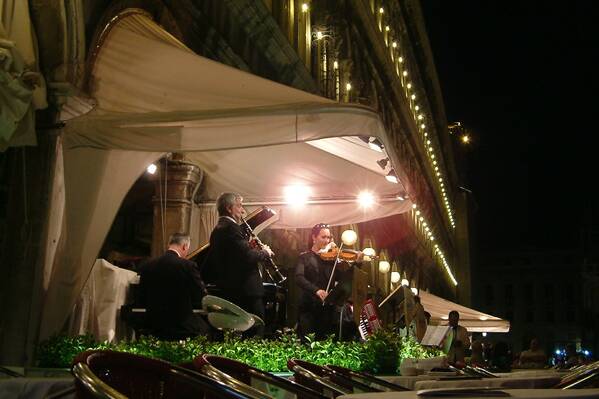 photographer Bitten by the Bug performance  photo