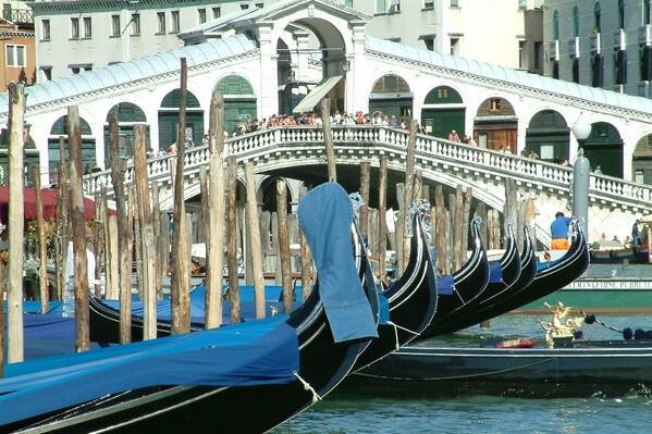 photographer Bitten by the Bug travel  photo taken at Venice, Italy