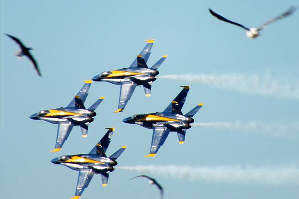 photographer Bitten by the Bug aviation  photo