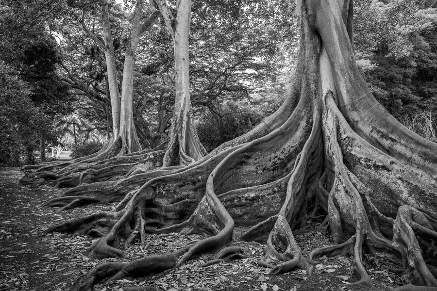 photographer Available Light Photography landscape  photo