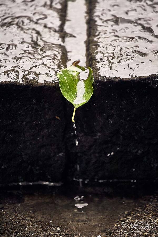 photographer MikeRhys conceptual  photo taken at Japan