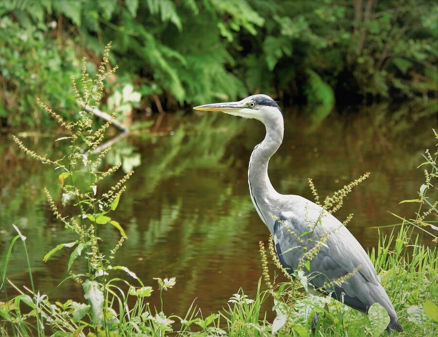 photographer JFC Images uncategorized  photo