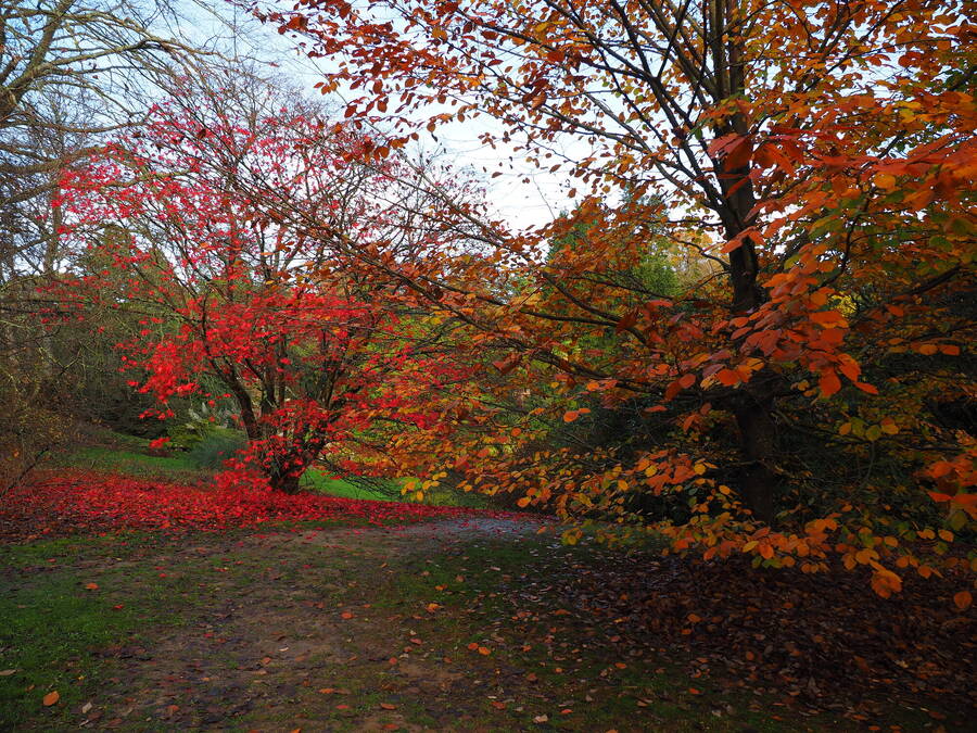 photographer Rosewood  Pix landscape  photo