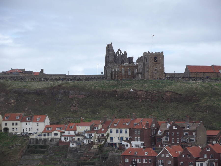 photographer BigSteve1952 uncategorized  photo