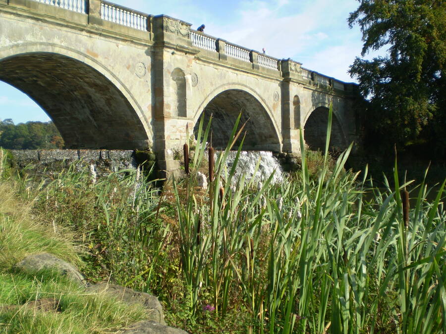 photographer BigSteve1952 uncategorized  photo