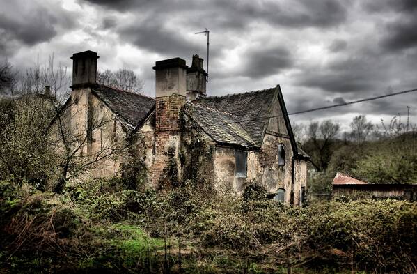 photographer The Opportunist uncategorized  photo