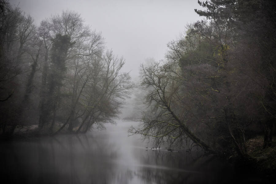 photographer Topz landscape  photo