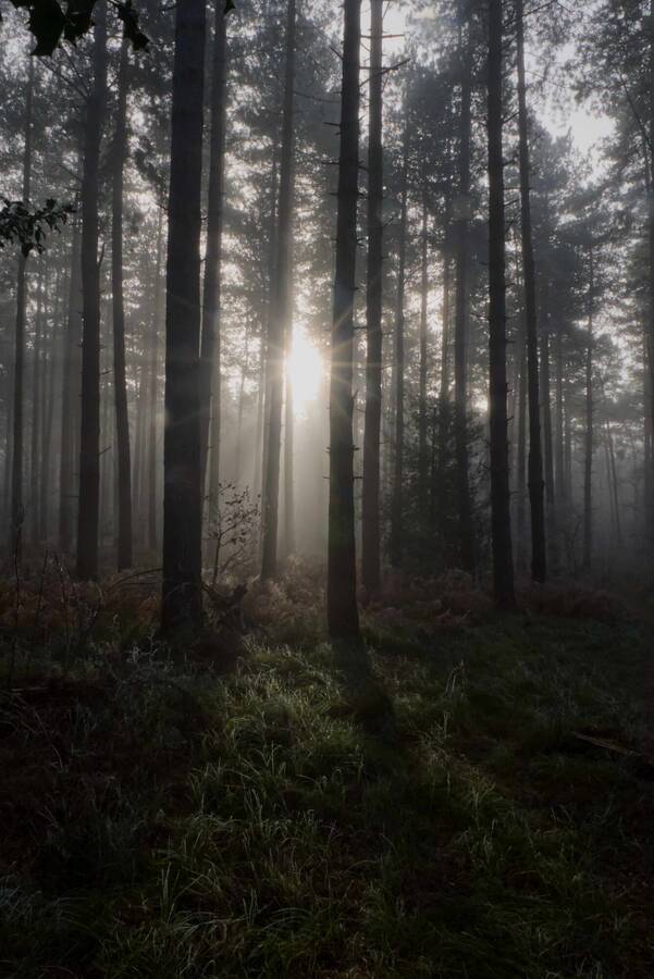 photographer JMKERR uncategorized  photo