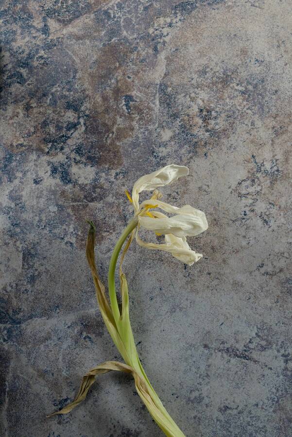 photographer JMKERR uncategorized  photo