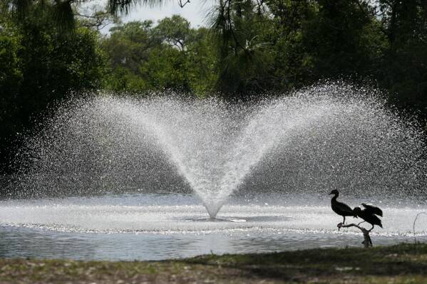 photographer Bitten by the Bug uncategorized  photo