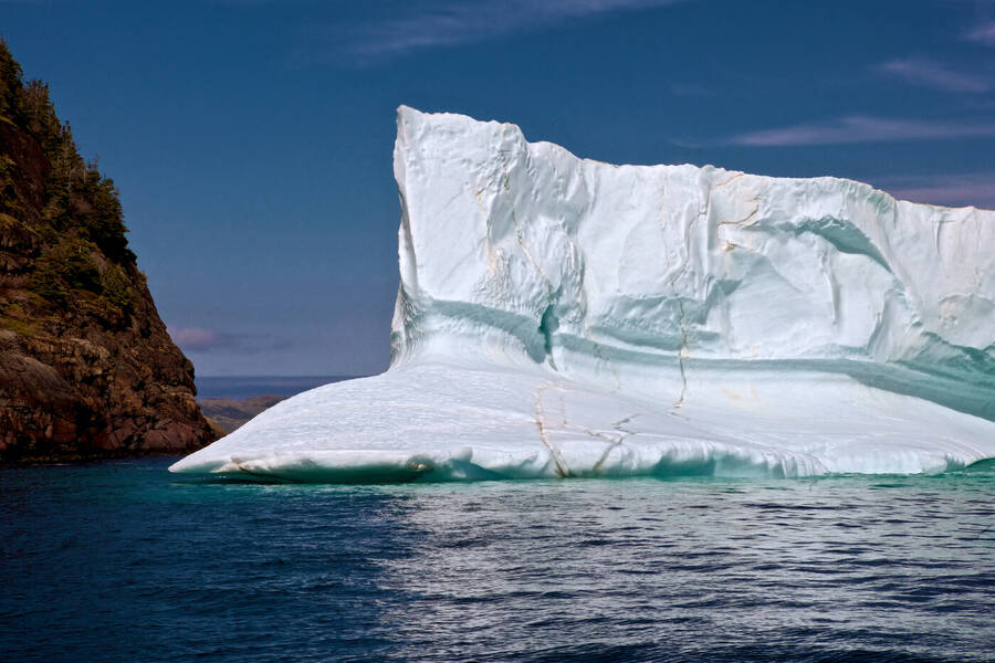 photographer Aardvark landscape  photo