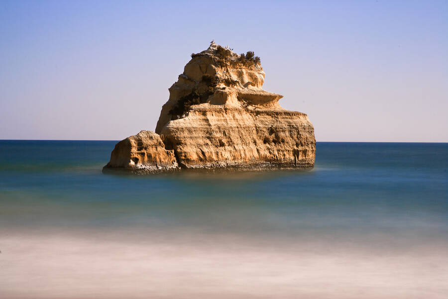 photographer Aardvark landscape  photo