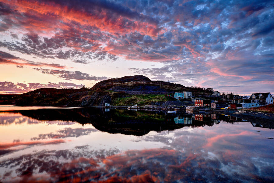 photographer Aardvark landscape  photo