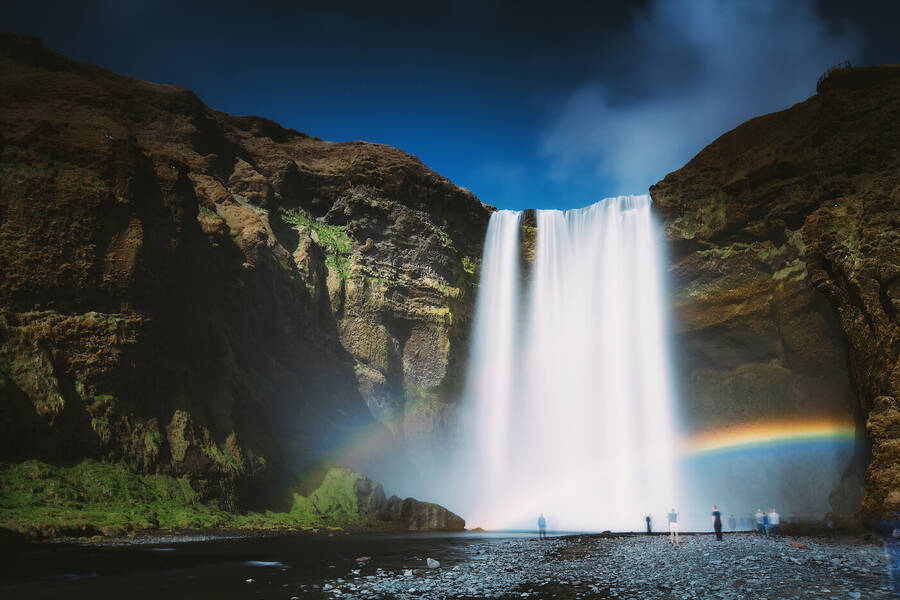 photographer Aardvark landscape  photo